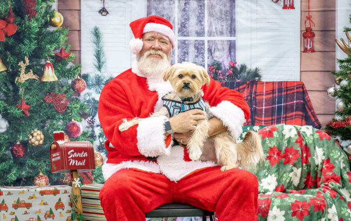 santa with a dog